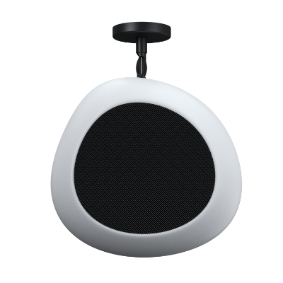 Spinam